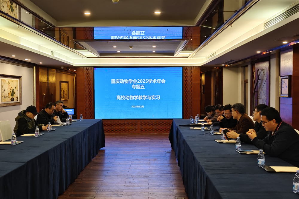 yZFz_1765971598969085818.jpg 20251213dwxnh1.jpg