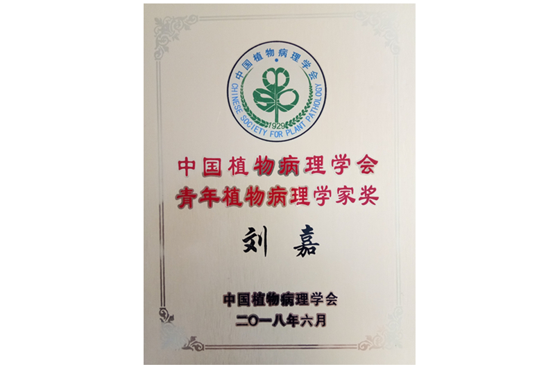 1535448853912045959.jpg 0828青年科学家奖状_副本.jpg